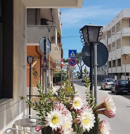 Hotel Blurelda سيلفي مارينا المظهر الخارجي الصورة